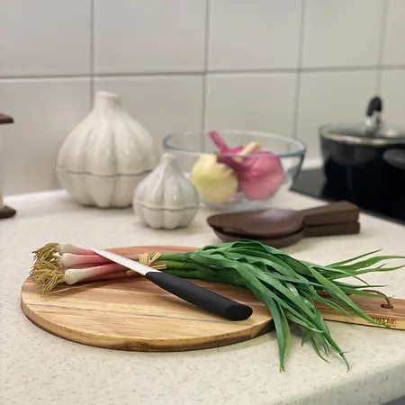 דירה Design Old Town Aprt - Blue Church & Park - Ac ברטיסלאבה